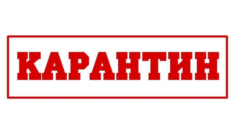 Что такое карантин?.